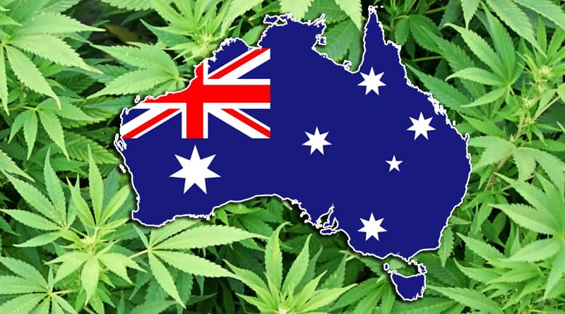 420 mail order | buy weed online australia
