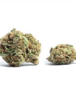 420 mail order | Buy Marijuana Online With Worldwide Shipping
